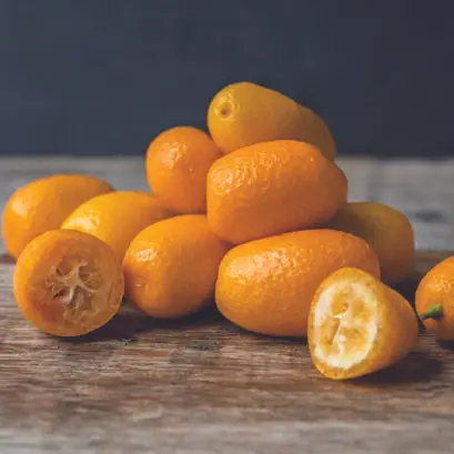 Kumquat