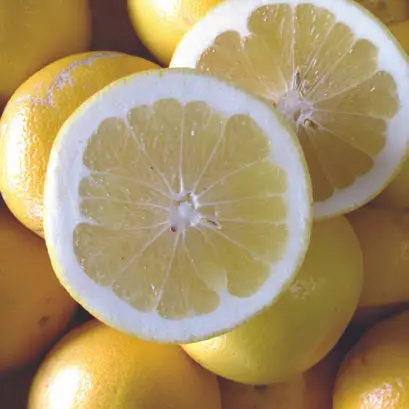 Melogold Pomelo