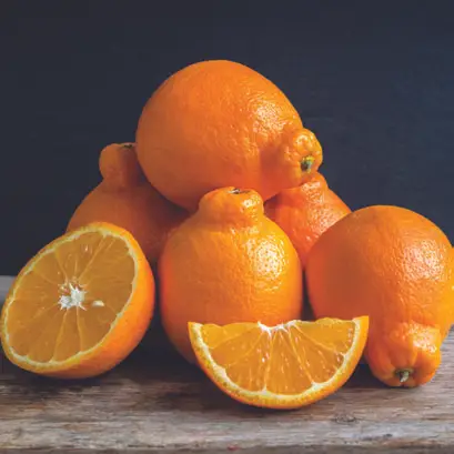 Minneola Tangelo