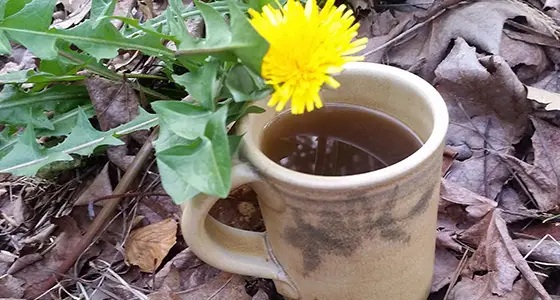 Dandelion Coffee