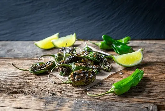Blistered Shishito Peppers