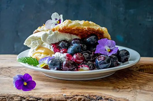 Blueberry Shortcake
