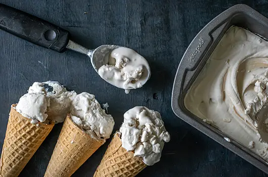 Coconut Coffee Ice Cream LifeSource Recipes