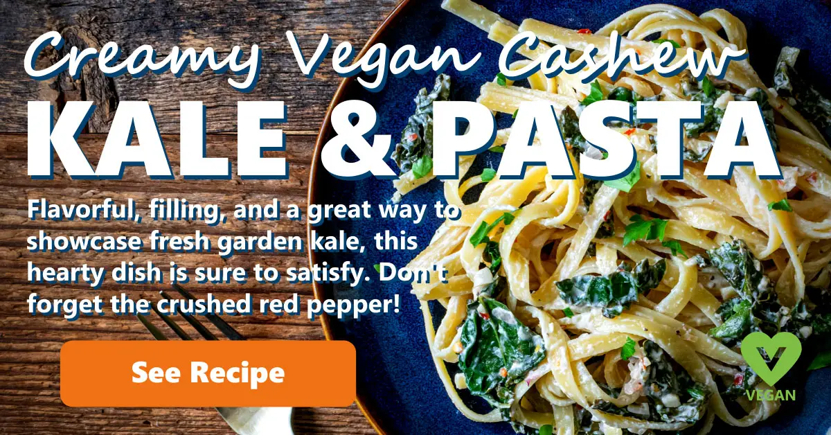 Creamy Vegan Cashew Kale & Pasta