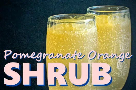 Pomegranate Orange Shrub