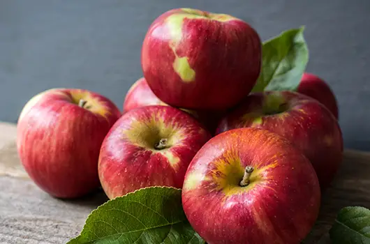 Akane Apples