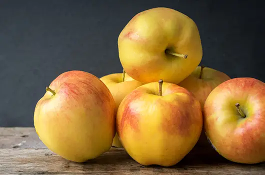 Apple Ambrosia