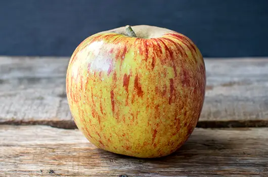 Apple Jonagold