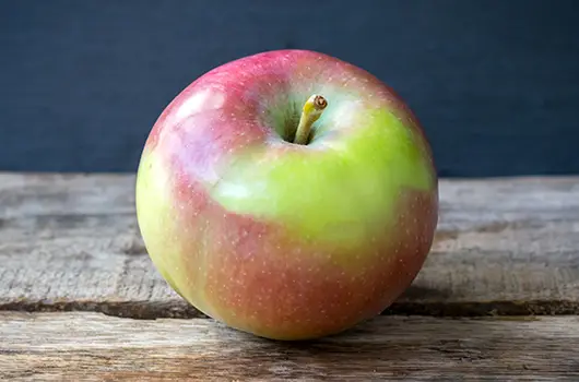 Apple McIntosh