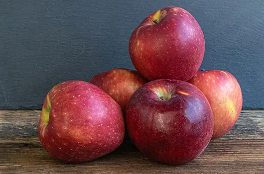 Apples Cosmic Crisp