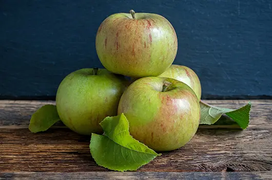 Apples Coxs Orange Pippin