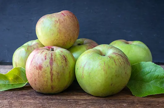 Apples Gravenstein