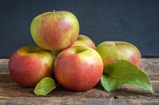 Apples Orleans Reinette