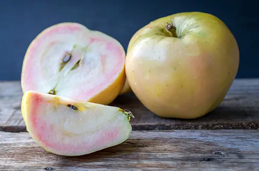 Apples Pink Pearl