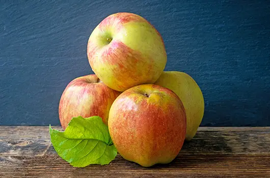 Apples Smitten