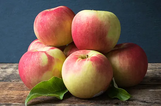 Apples Zestar