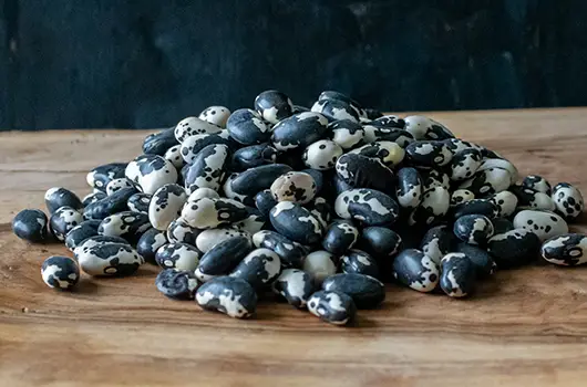 Orca Beans
