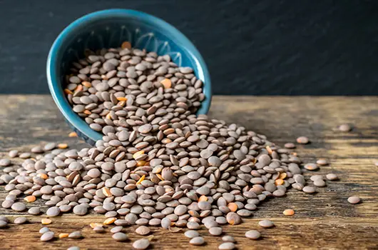 Brown Lentils