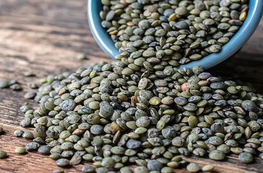 French Green Lentils