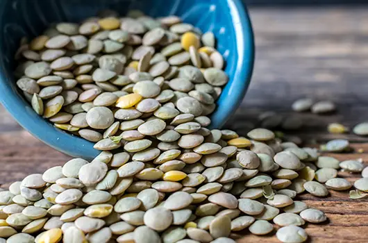 Green Lentils