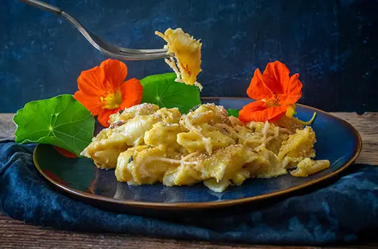 Butternut Shells And Cheese