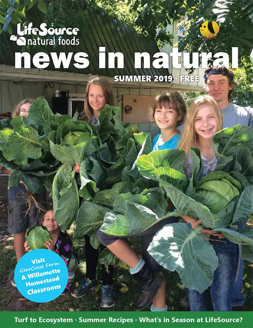 Summer Magazine 2019