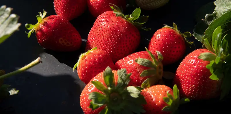 Fresh strawberry