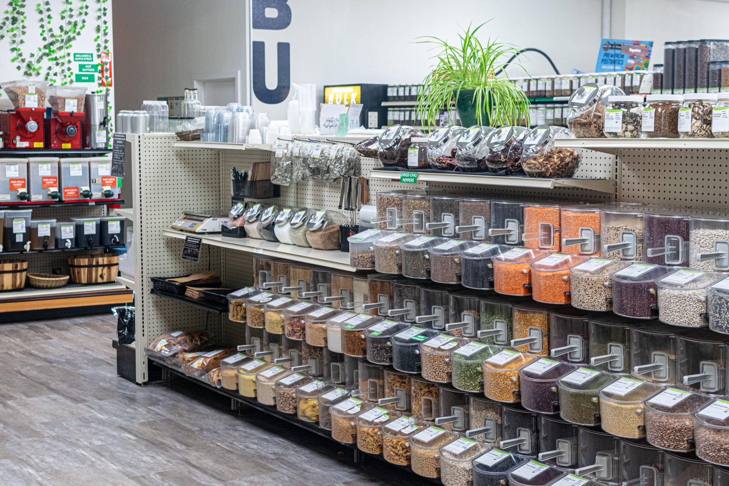 LifeSource Bulk Department, beans, rice, lentils, honey in the background.